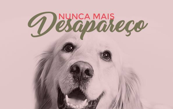 Nunca mais desapare&ccedil;o